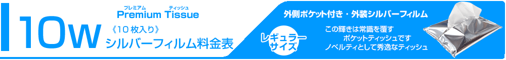 シルバーメタルフィルム料金表タイトル